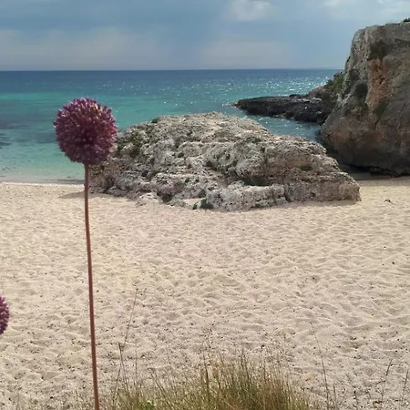 Appartement Casa Zagara Monopoli