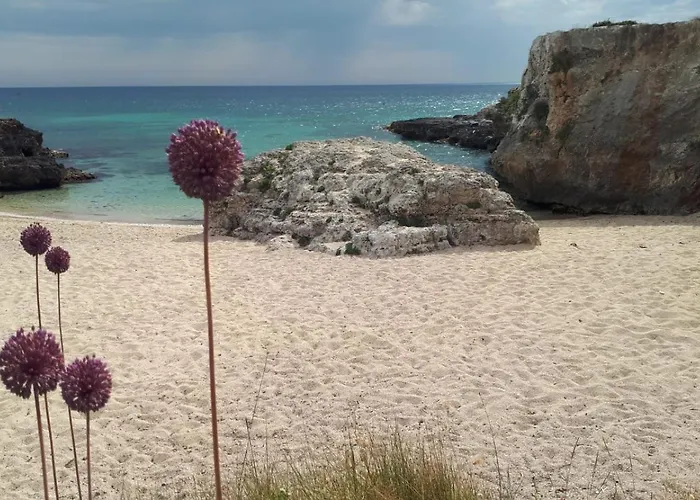 Apartment Casa Zagara Monopoli